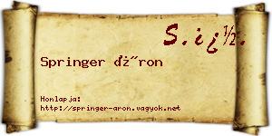 Springer Áron névjegykártya